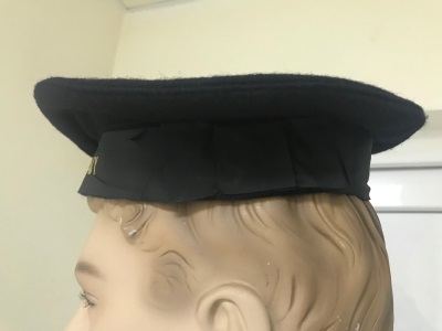 US Navy Donald Duck Hat