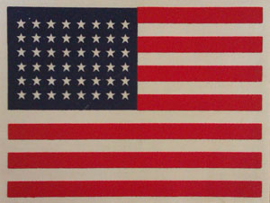 US Insignia Invasion Flags