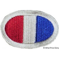 US Insignia Jump wing ovals